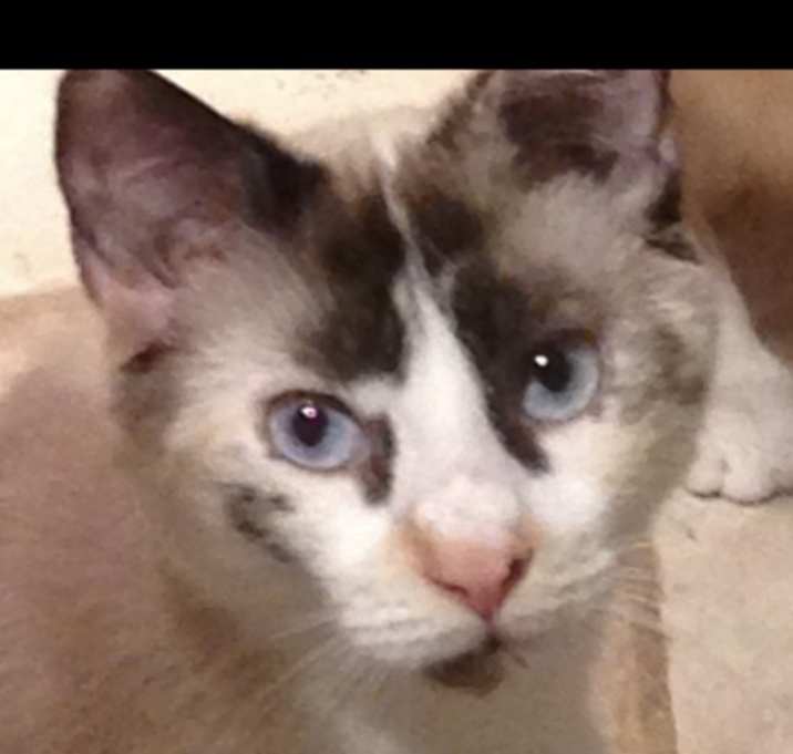 Photo of Quinn and harper