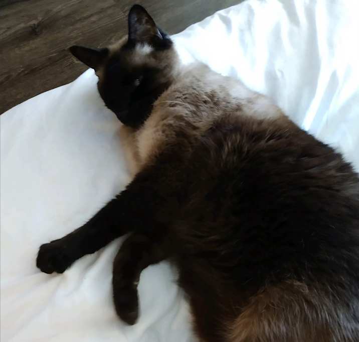 Photo of Stormy & Stevie