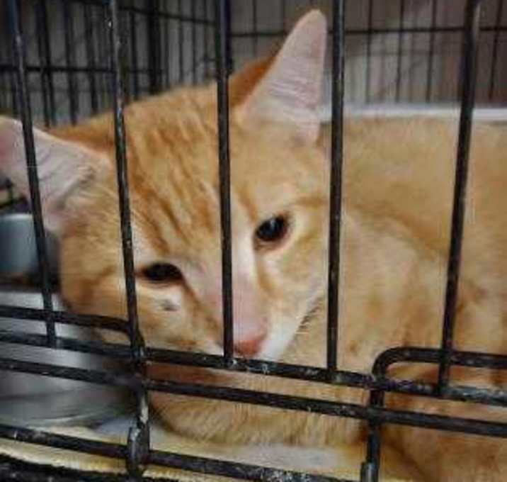 Photo of Kitty Edwards