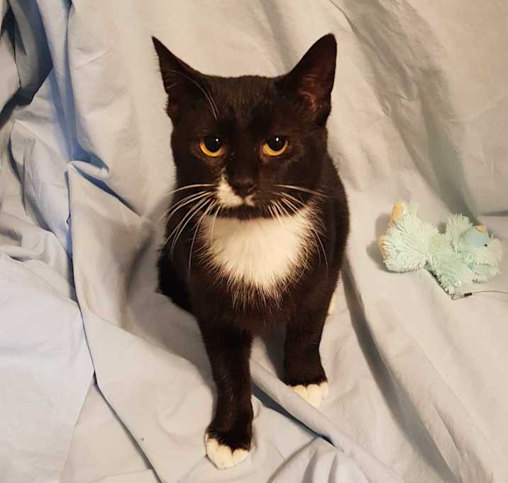 Photo of Anastasija (Tajia)