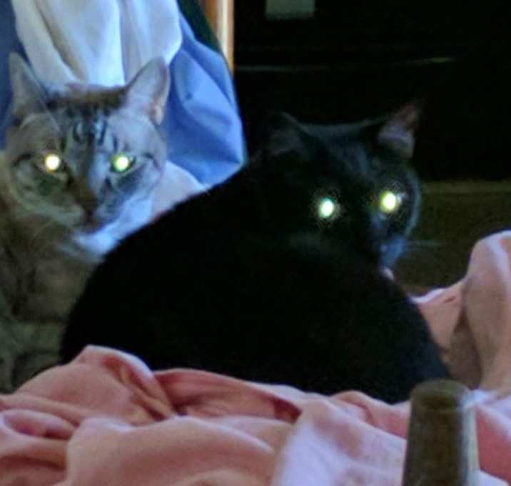 Photo of Lovey and Baby