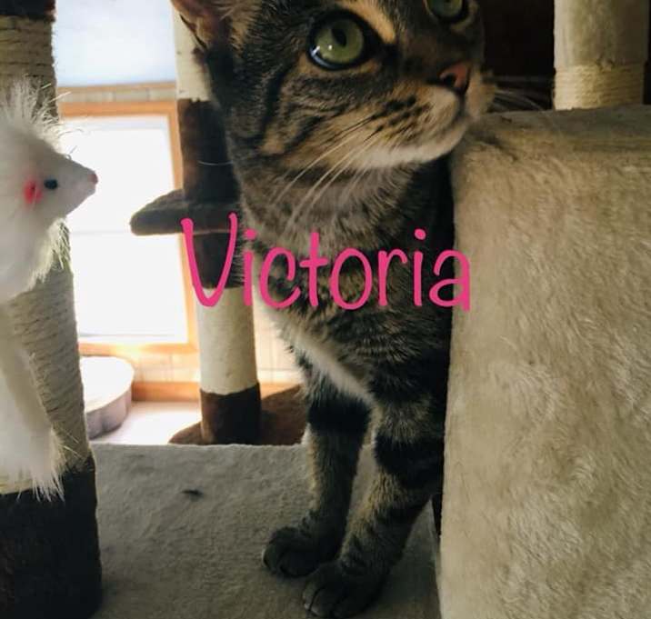 Photo of Victoria