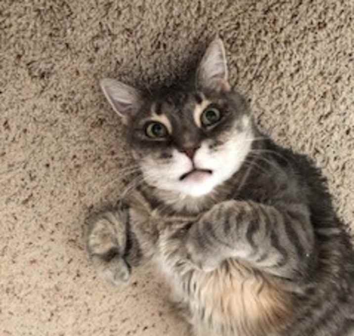 Photo of Leroy Jenkins