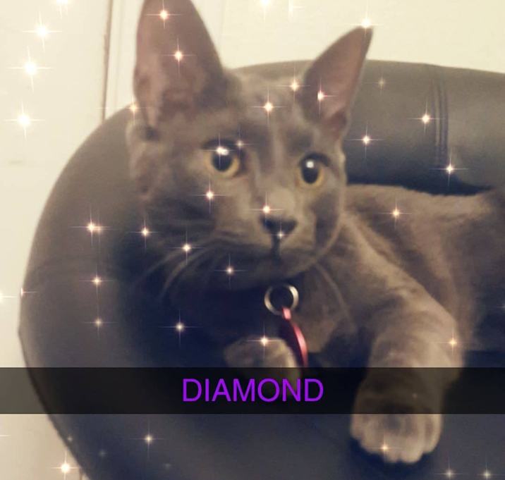 Photo of Diamond