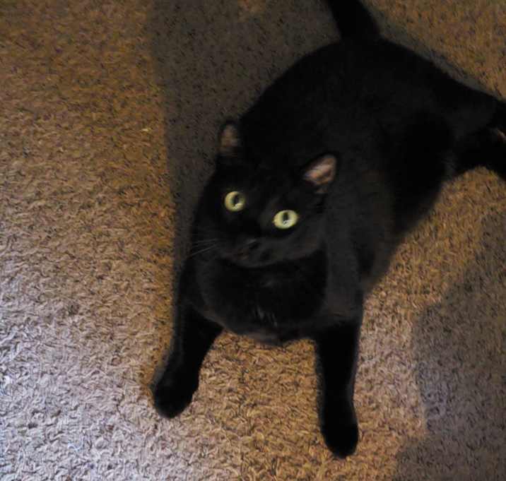 Photo of Eva and bella