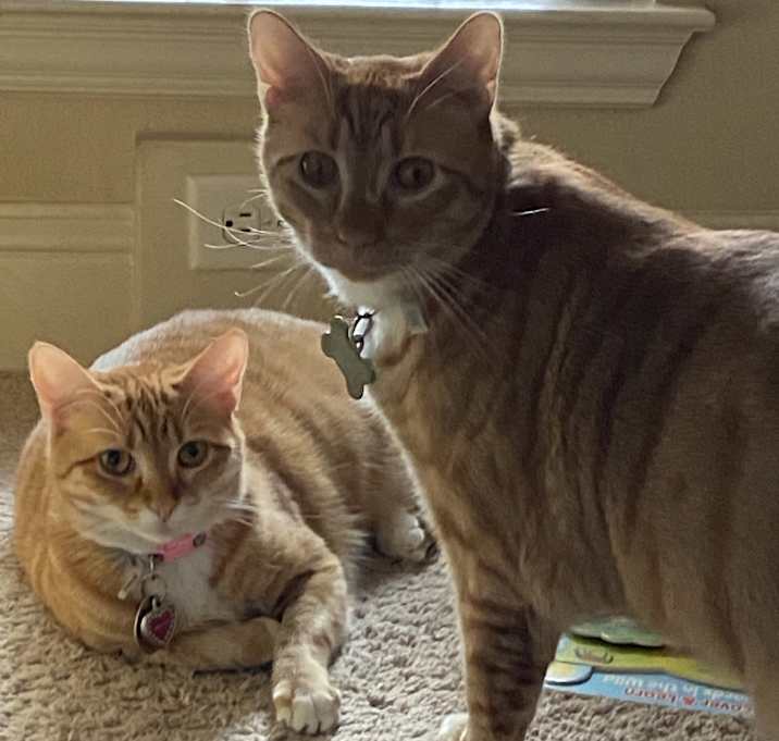 Photo of Zeus&Athena