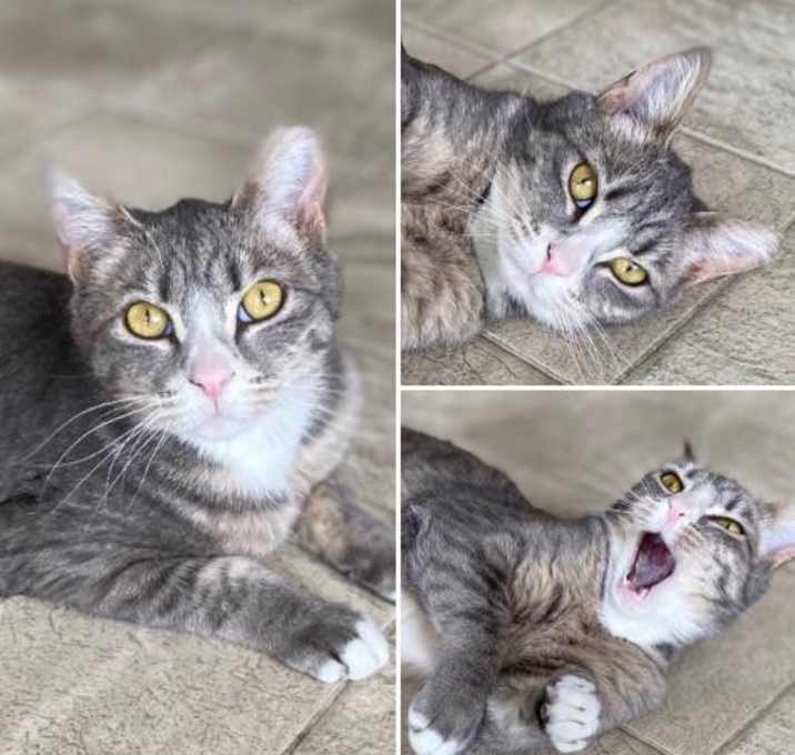 Photo of Holly Berry