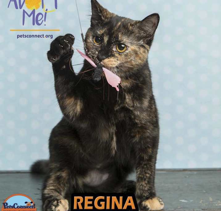 Photo of Regina