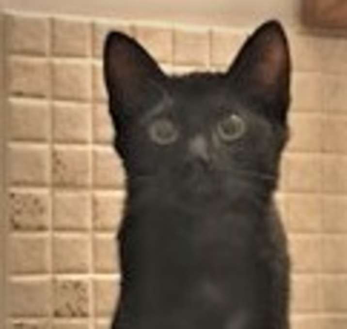 Photo of Bruce Wayne