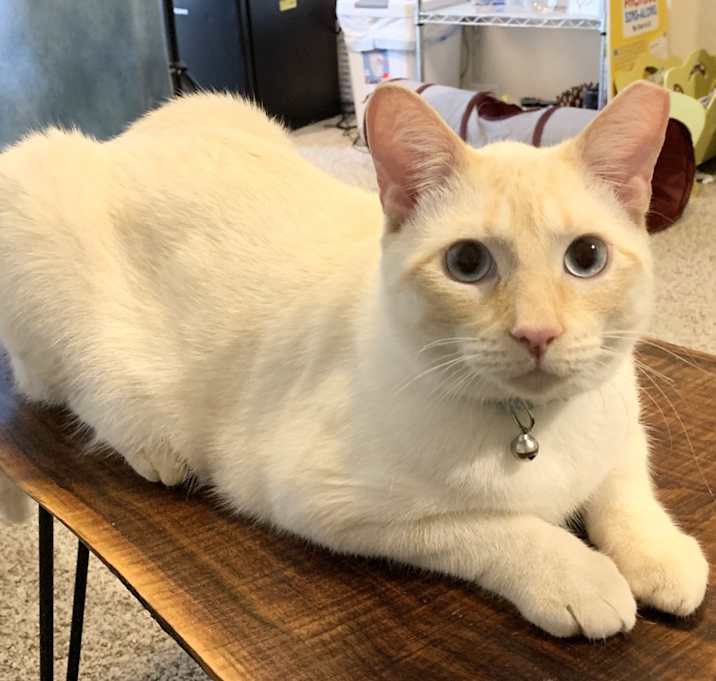 Photo of Olaf & Sven 