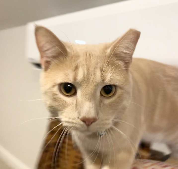 Photo of Sven & Olaf