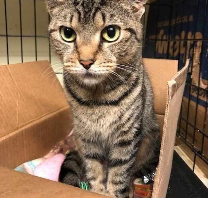 Photo of Baby Princess