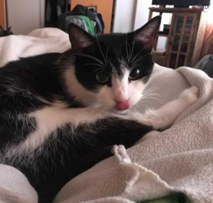 Photo of Queen Ingris