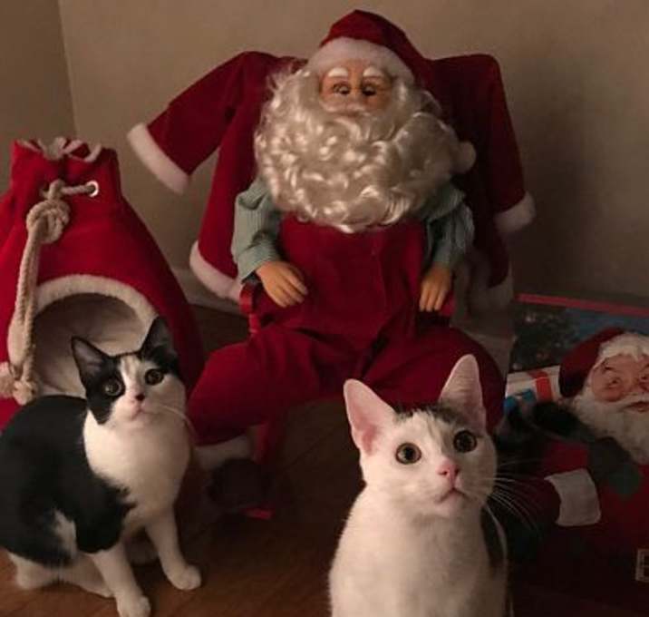 Photo of Daisy and Dinah