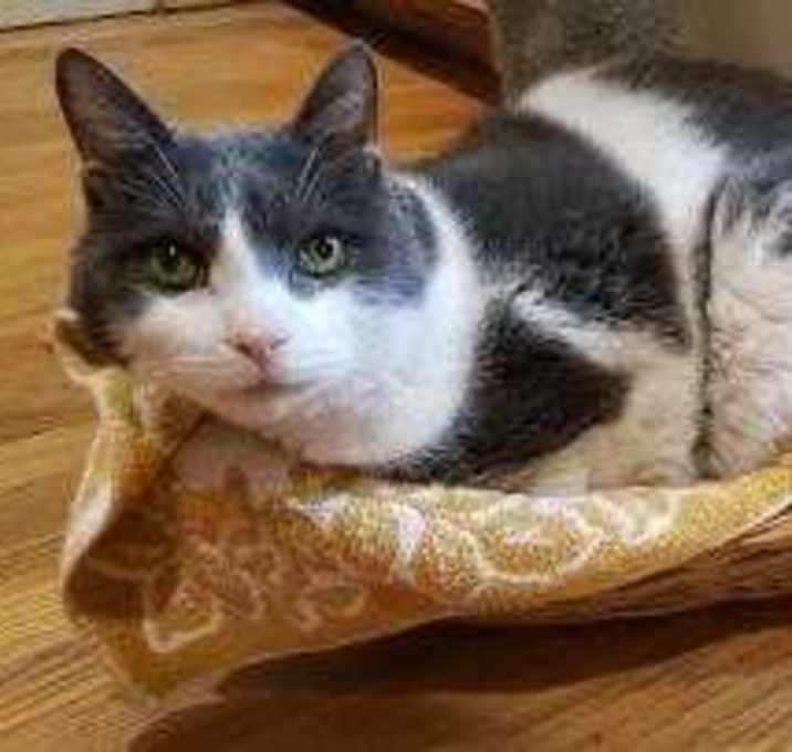 Photo of Oliver-Quinn