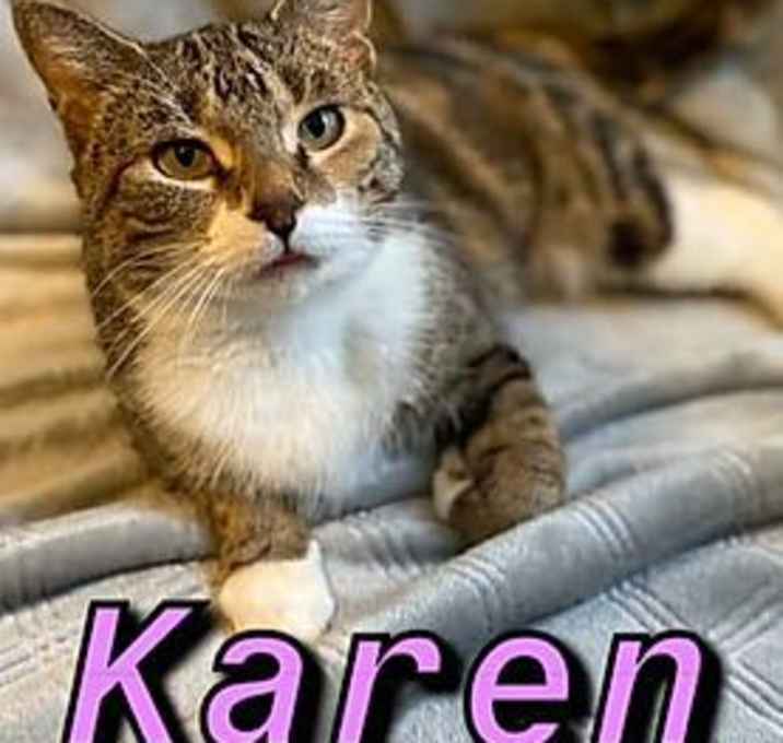 Photo of Karen