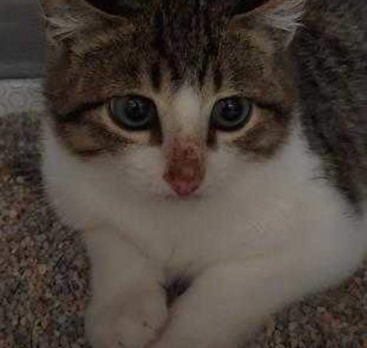 Photo of F19 1413 Pat