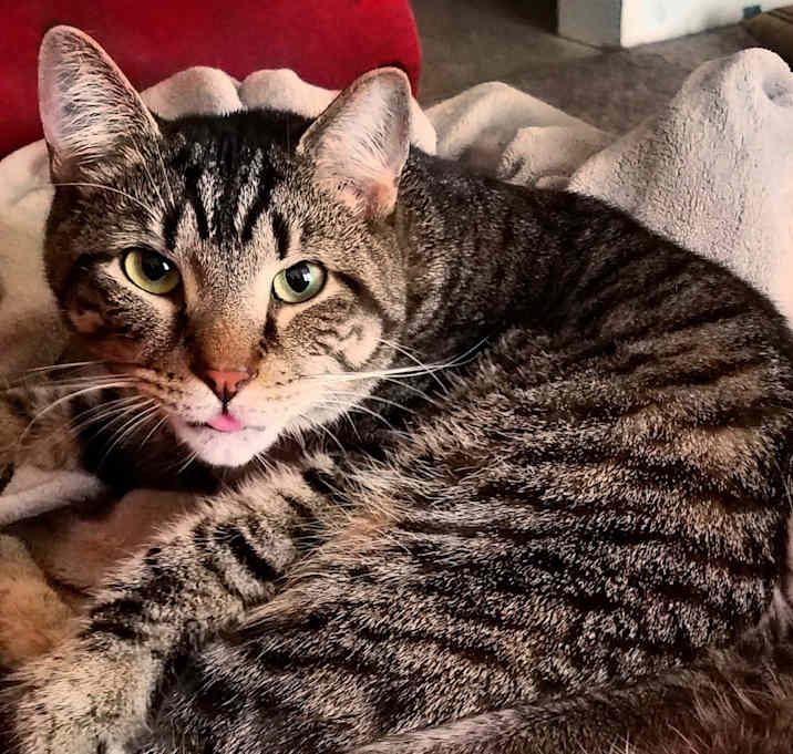 Photo of Duke Silver