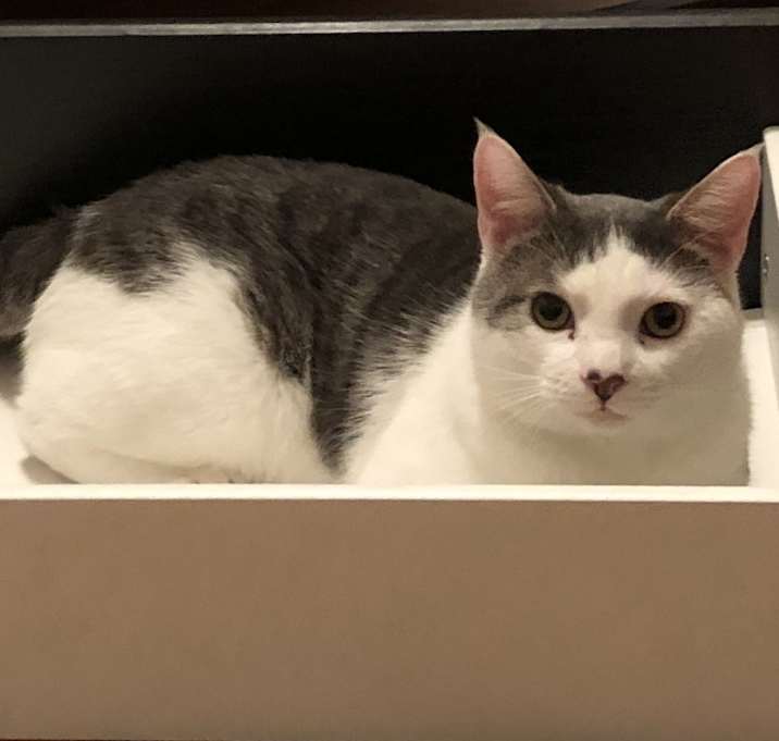 Photo of Lt. Mike Murphy