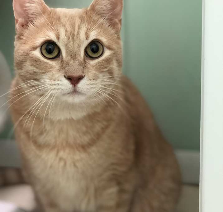 Photo of Mighty Mouse