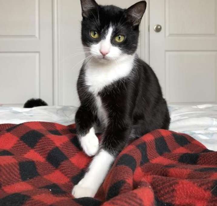 Photo of Martin (+Remy)