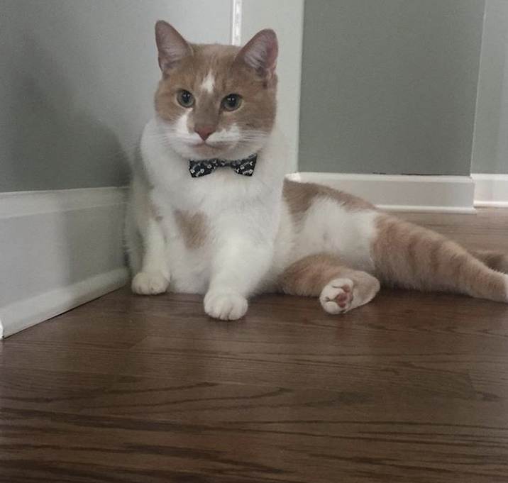 Photo of Cleveland and Peanut