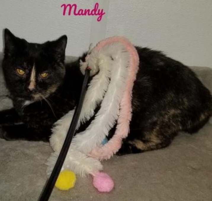 Photo of Mandy