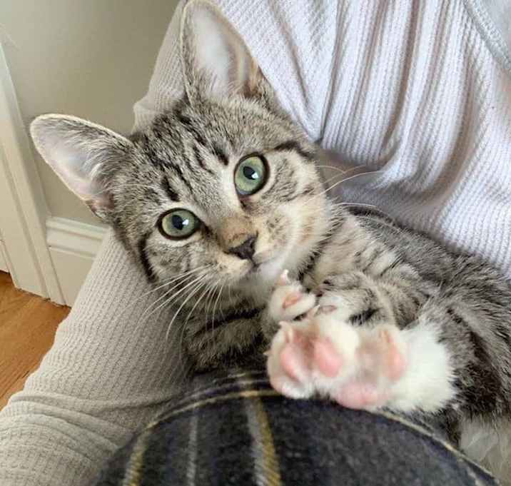 Photo of Rosie & Roxie