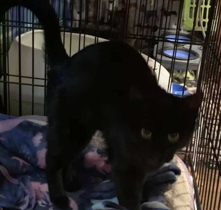 Photo of Phillip Hidalgo