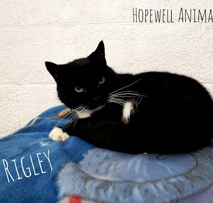 Photo of 😈Rigley😈