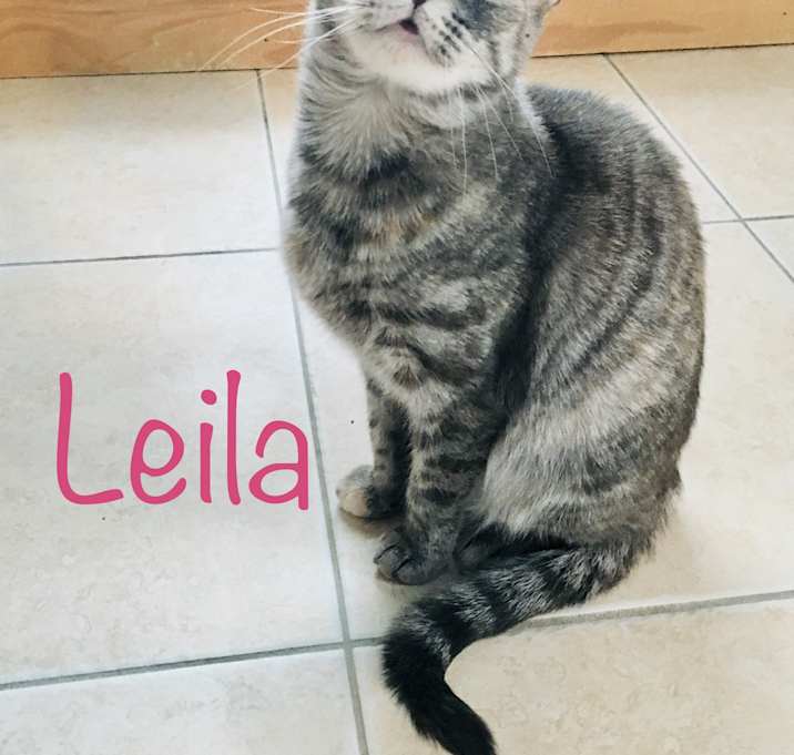 Photo of Leila