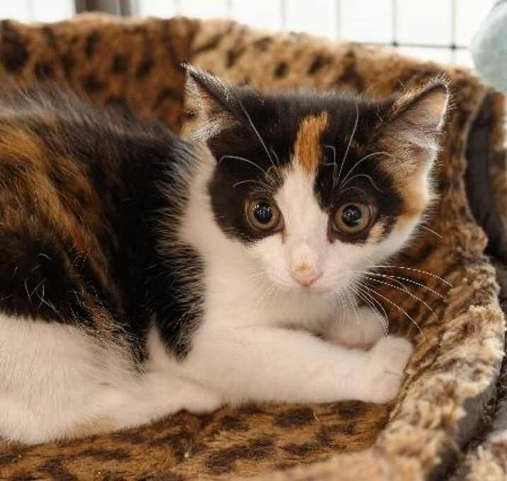 Photo of Panhandle / Glenwood