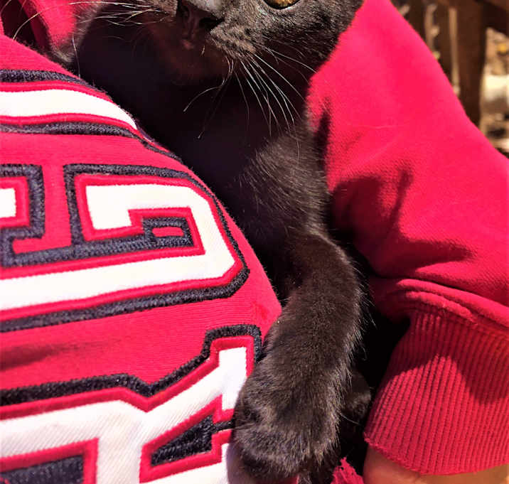 Photo of Olive,adorable & awesome!