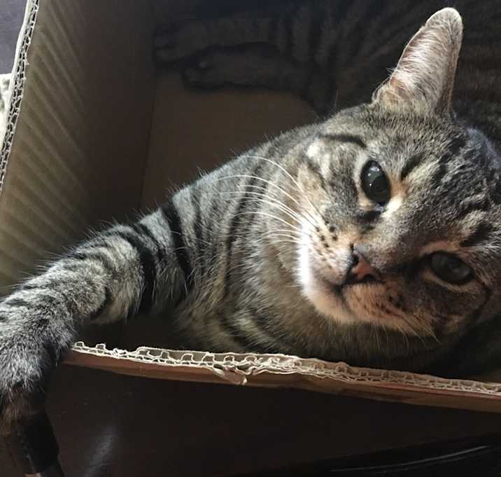 Photo of Harold (Harry) 