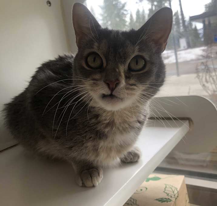 Photo of Sally Sitwell