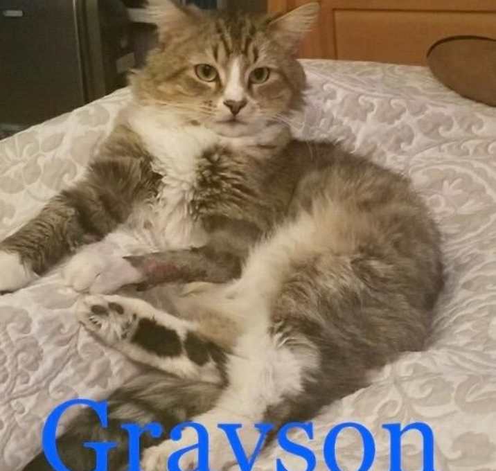 Photo of Grayson
