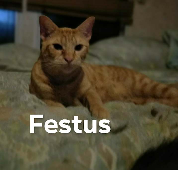 Photo of Festus