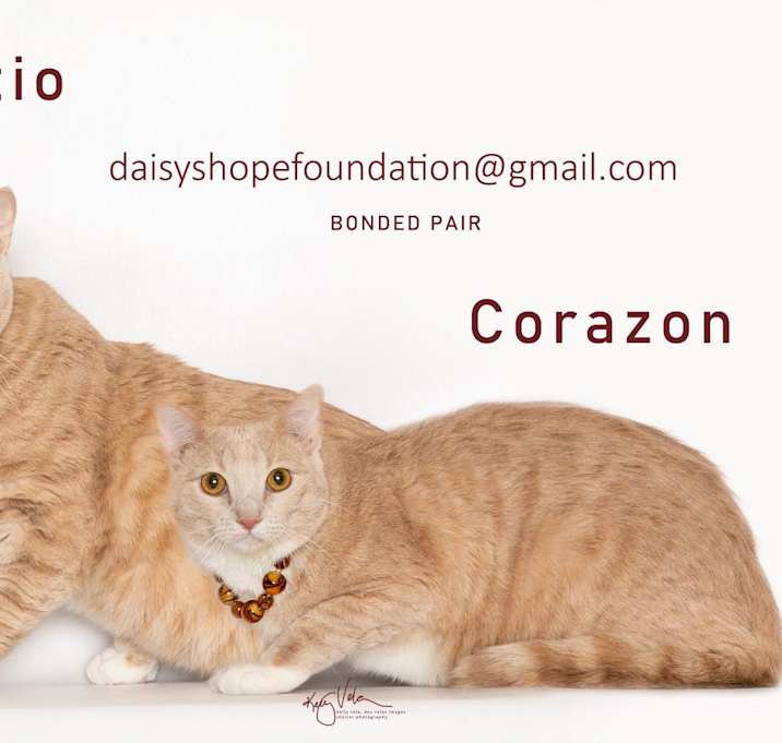 Photo of Corazon(Cory)