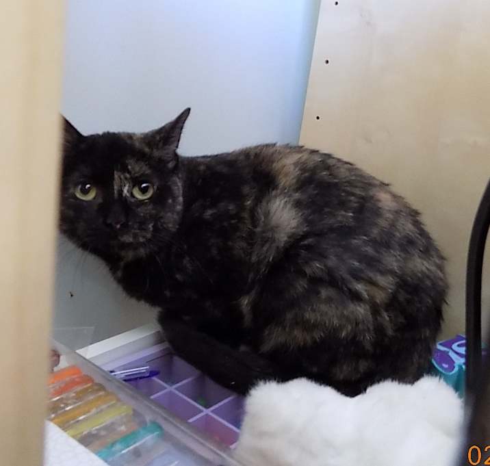 Photo of Margo (endearing)