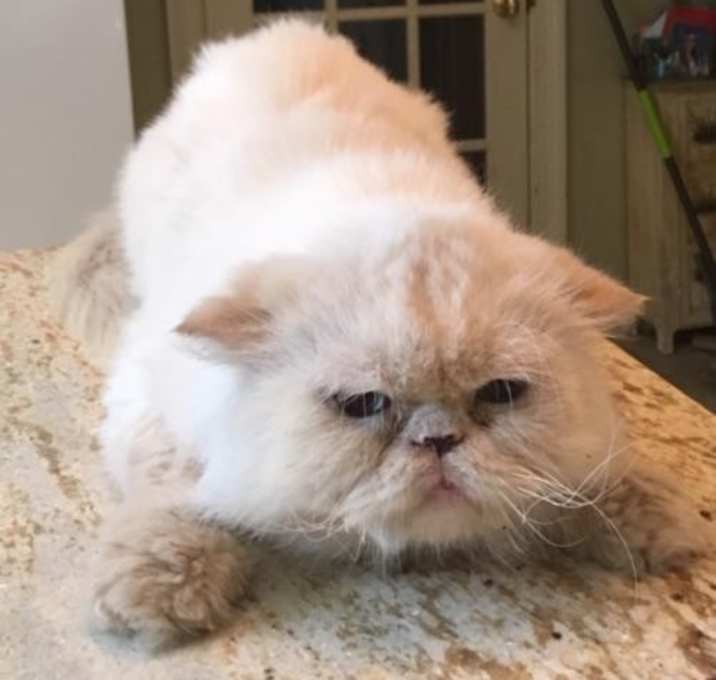 Photo of Duncan (Senior)