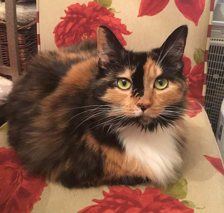 Photo of James and Luna