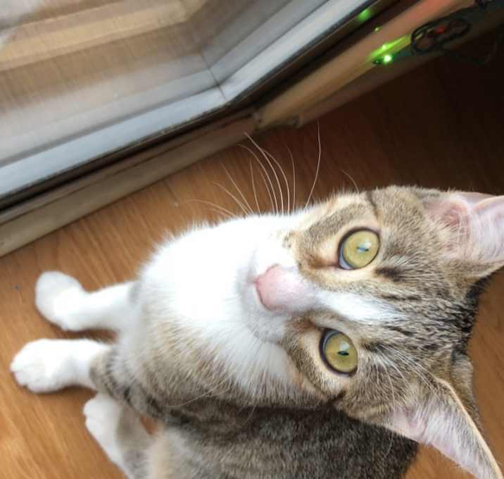 Photo of Arbor Lilly