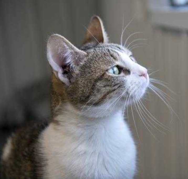 Photo of Kaine w/ Able