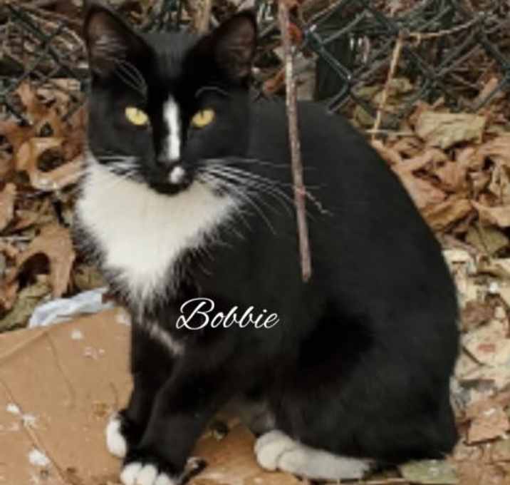 Photo of Bobbie