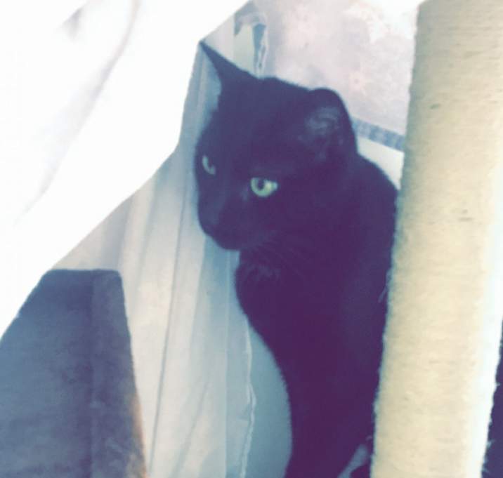 Photo of Bob Burgers