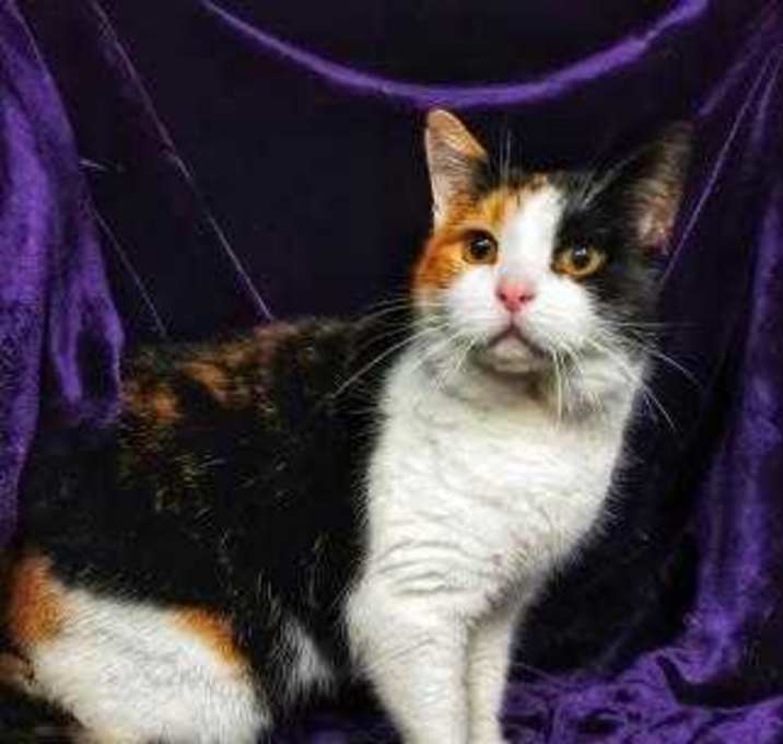 Photo of Pretty Lady