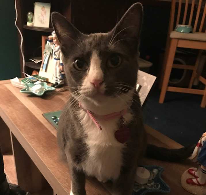 Photo of Emerald(Emery)