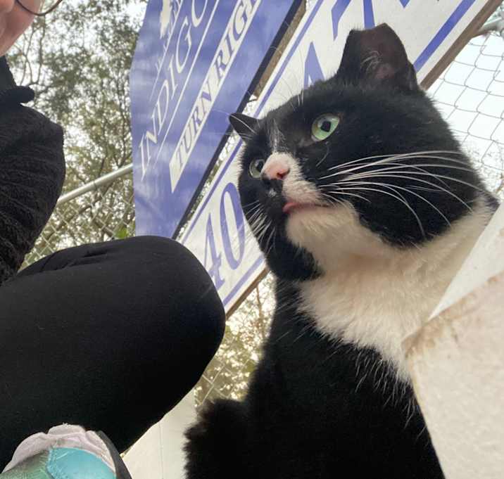 Photo of Little Bunny