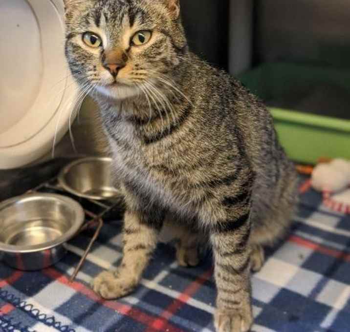 Photo of Fitz--In Foster