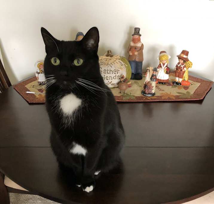 Photo of Max and Jack